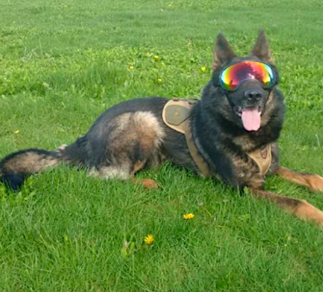 PSD Dave926