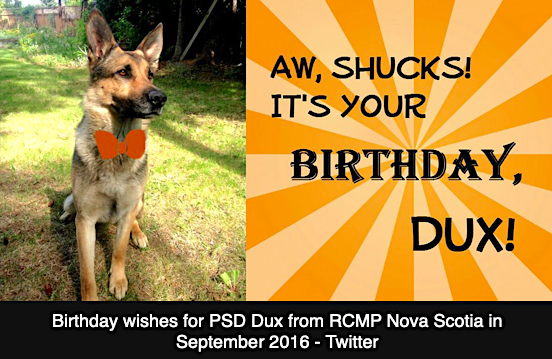 Dux PSD941 Birthday