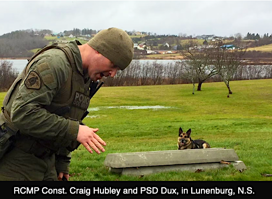 Dux PSD941 CstHubley