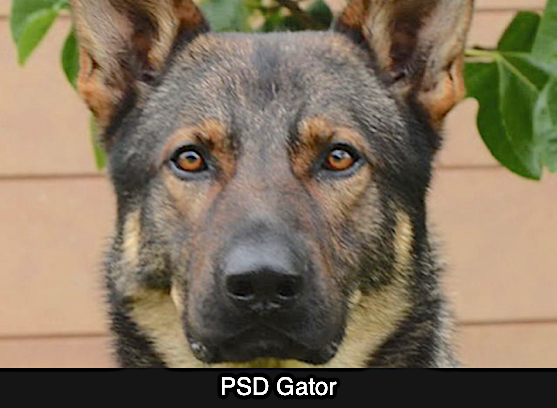 GatorPSD 2