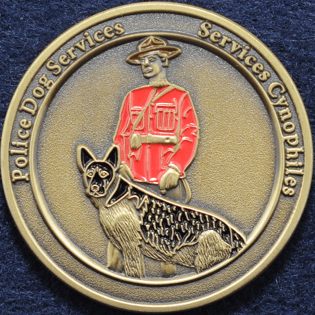 PSDDayna crest