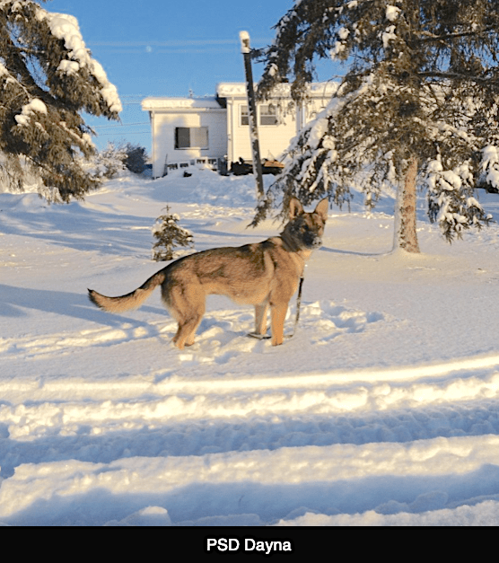 PSDDayna winter