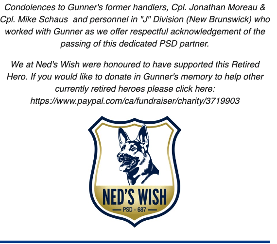 PSDGunner Ned'sWish