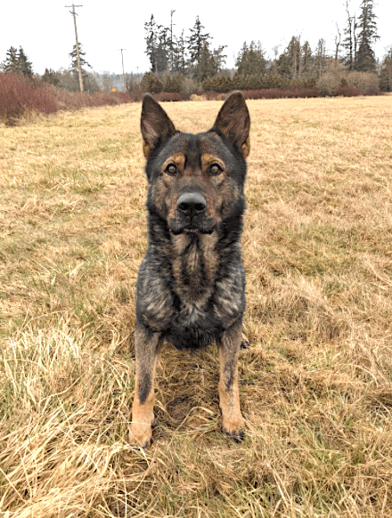 PSDHooper1045