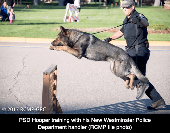 PSDHooper1045 barrier