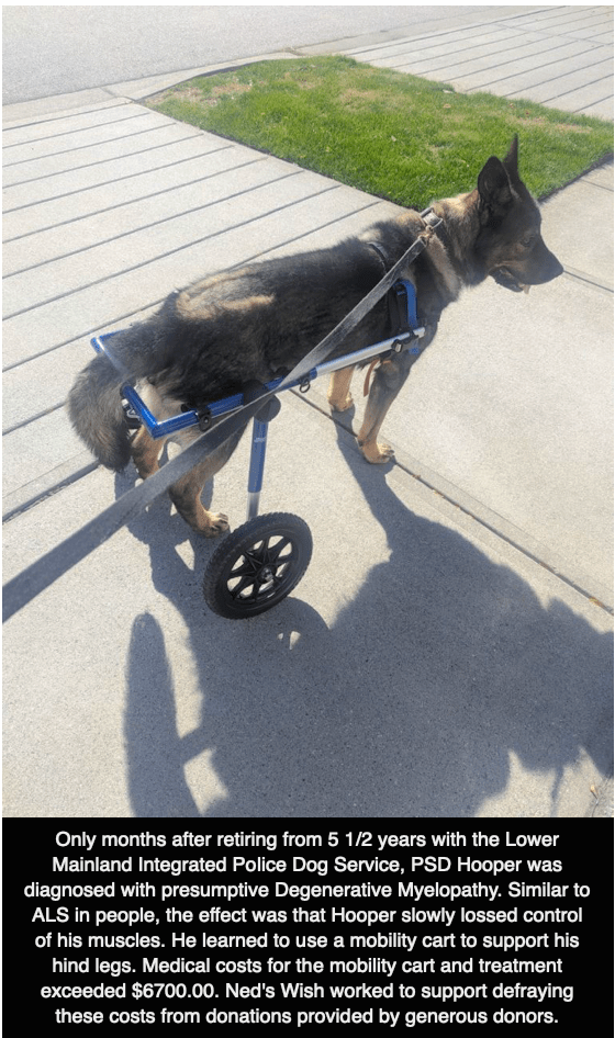 PSDHooper1045 mobilitycart