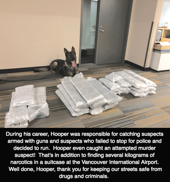 PSDHooper1045 narcotics